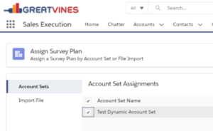 GreatVines Dynamic Account Sets Surveys