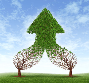 2 Trees coming together to make an arrow upwards, background sky, and grass on ground