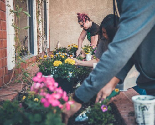 3 People Tilling a Garden