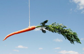 Carrot hanging from a string, background is sky