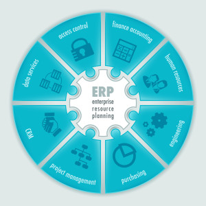 ERP virtual logo with all its internal components